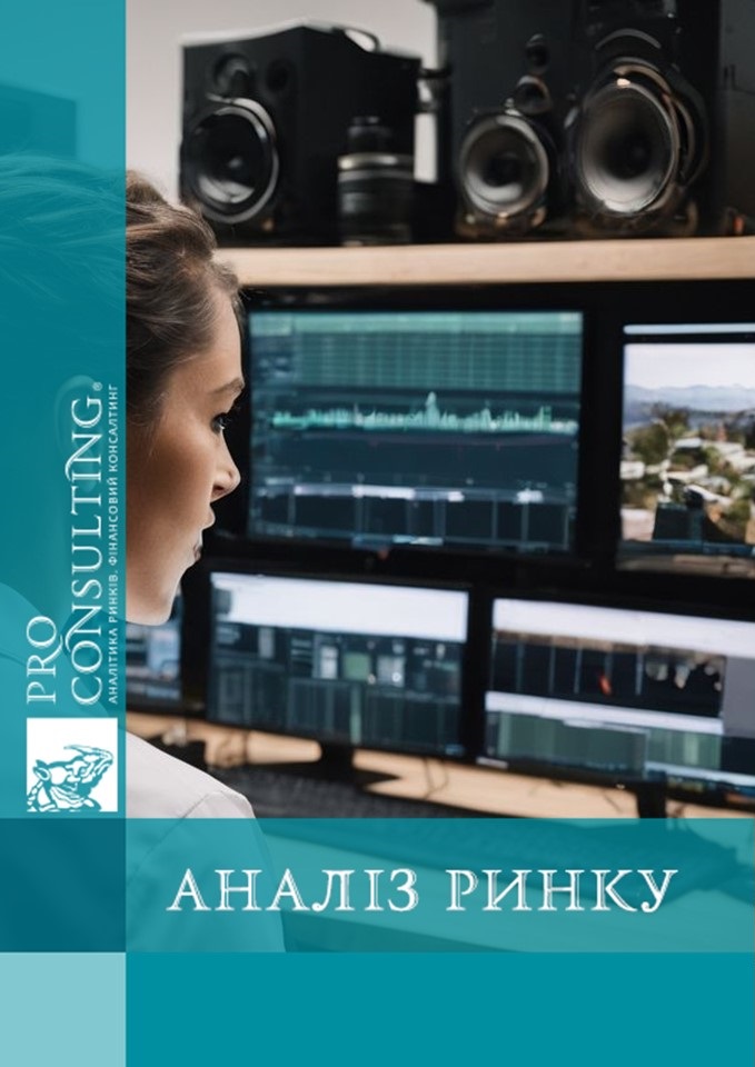 Аналіз ринку систем відеоаналітики в Україні. 2024 рік